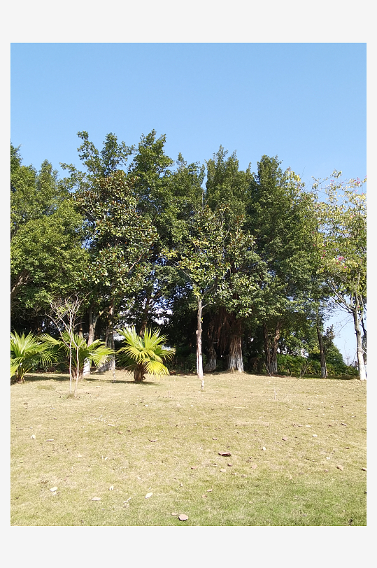 城市户外公园环境-众图网