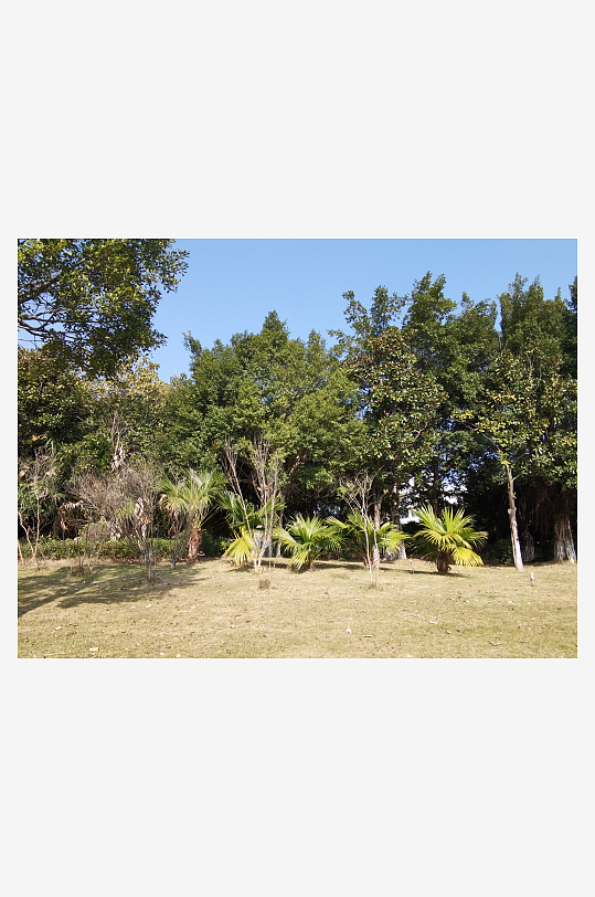 城市户外公园环境-众图网