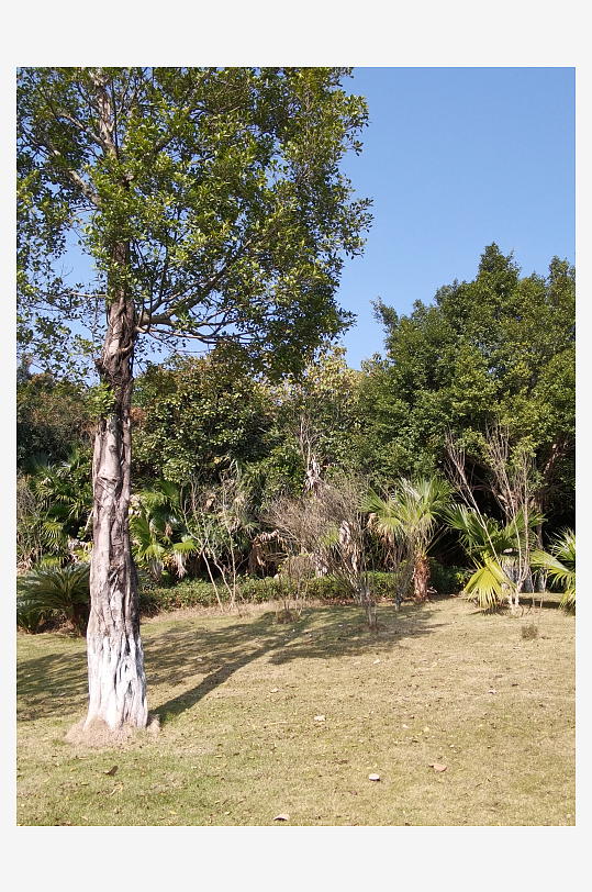 城市户外公园环境-众图网