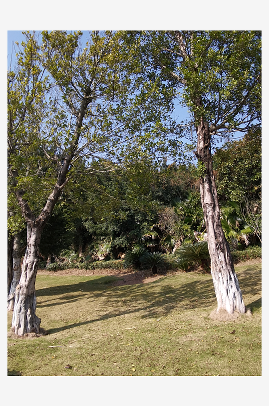 城市户外公园环境-众图网