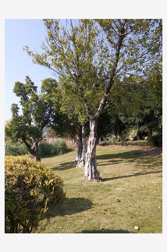 城市户外公园环境-众图网