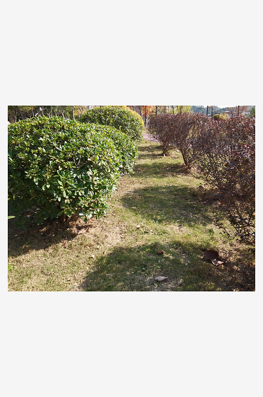 绿植环绕的户外公园-众图网