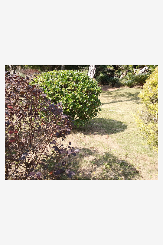 绿植环绕的户外公园-众图网