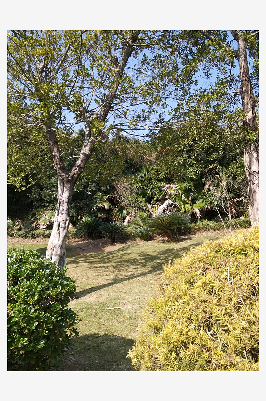 绿植环绕的户外公园-众图网