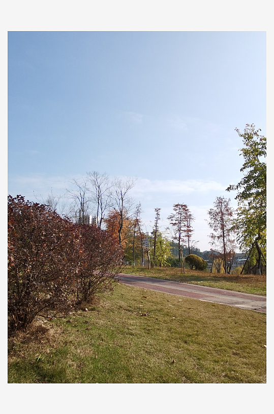 绿植环绕的户外公园-众图网