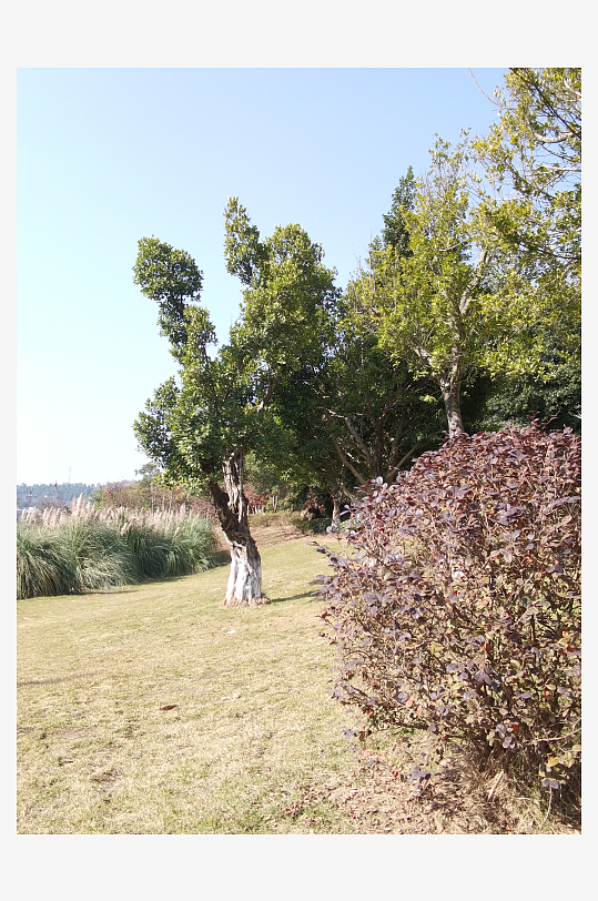 绿植环绕的户外公园-众图网