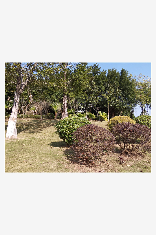 绿植环绕的户外公园-众图网