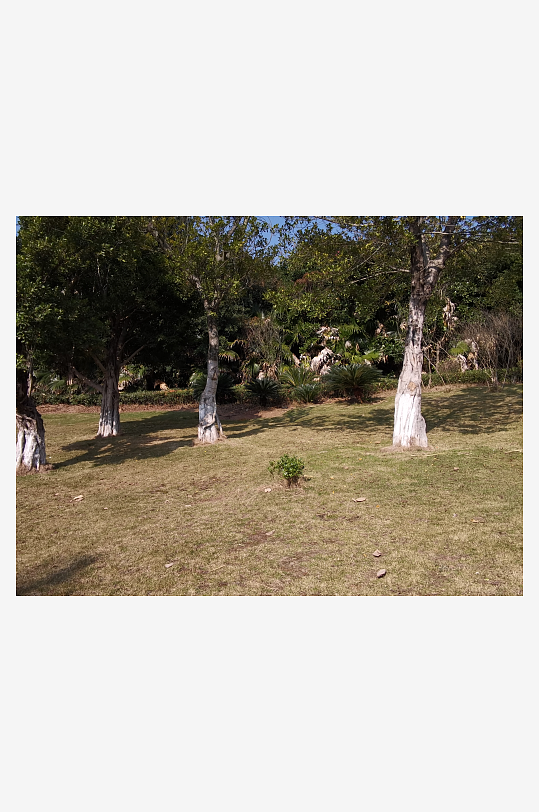 绿植环绕的户外公园-众图网