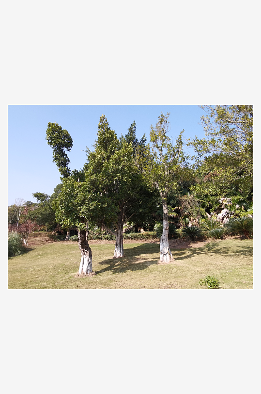 绿植环绕的户外公园-众图网