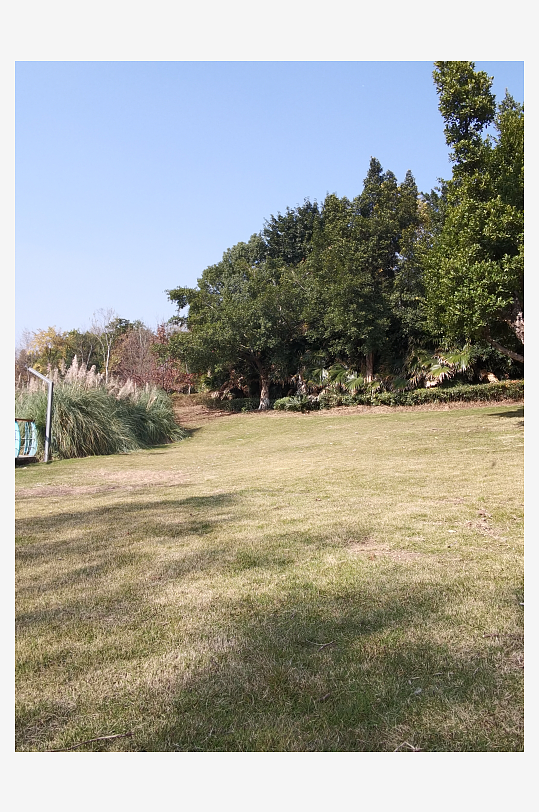 户外公园自然风光-众图网