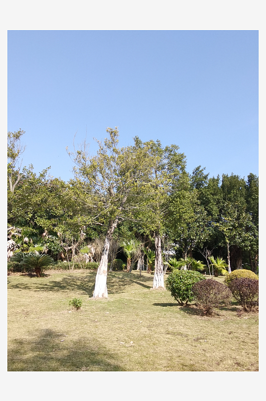 户外公园自然风光-众图网