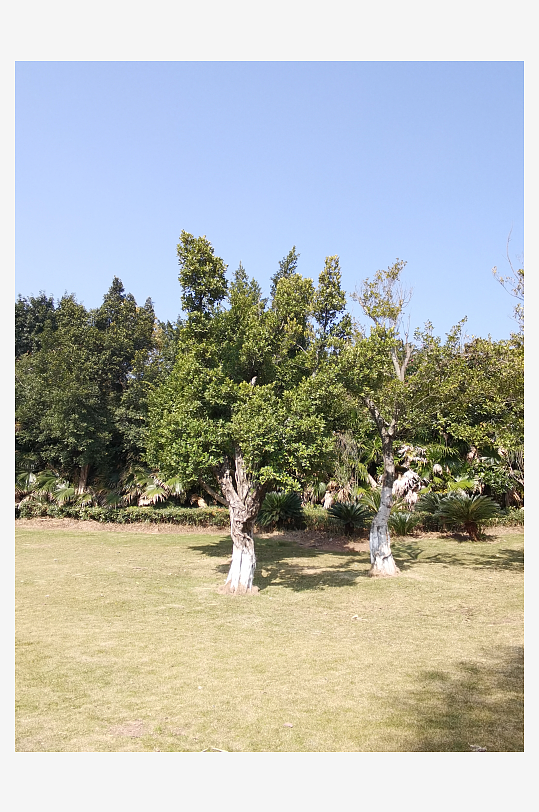 户外公园自然风光-众图网