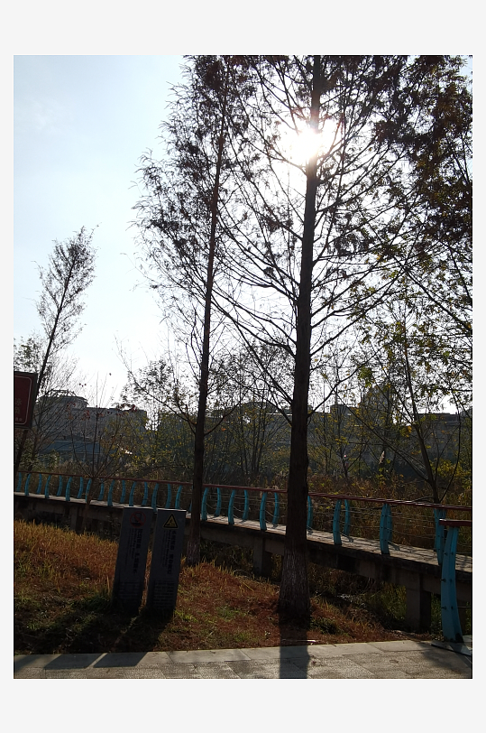 户外公园自然风光-众图网