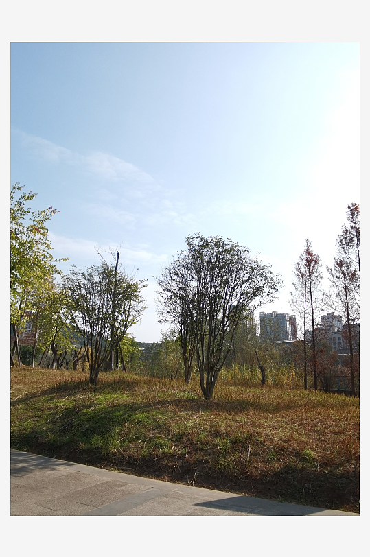 户外公园自然风光-众图网