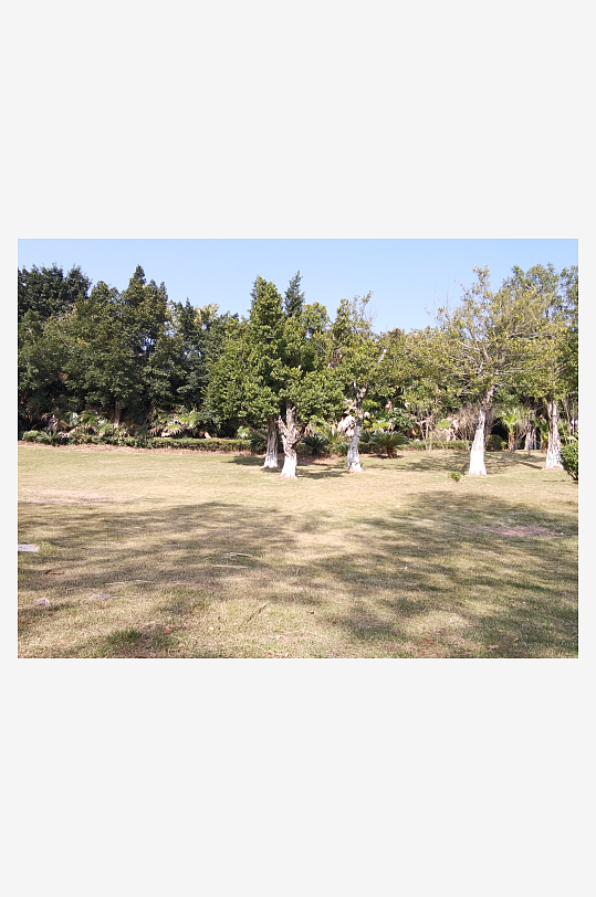 户外公园自然风光-众图网