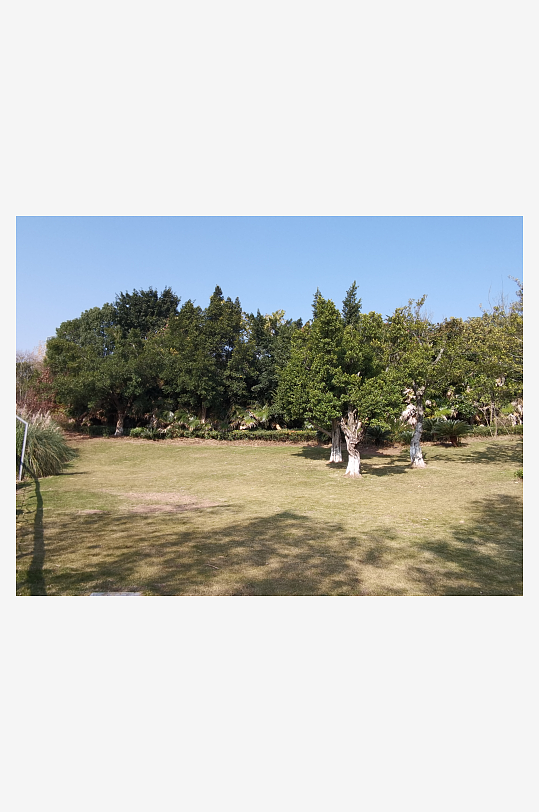 户外公园自然风光-众图网