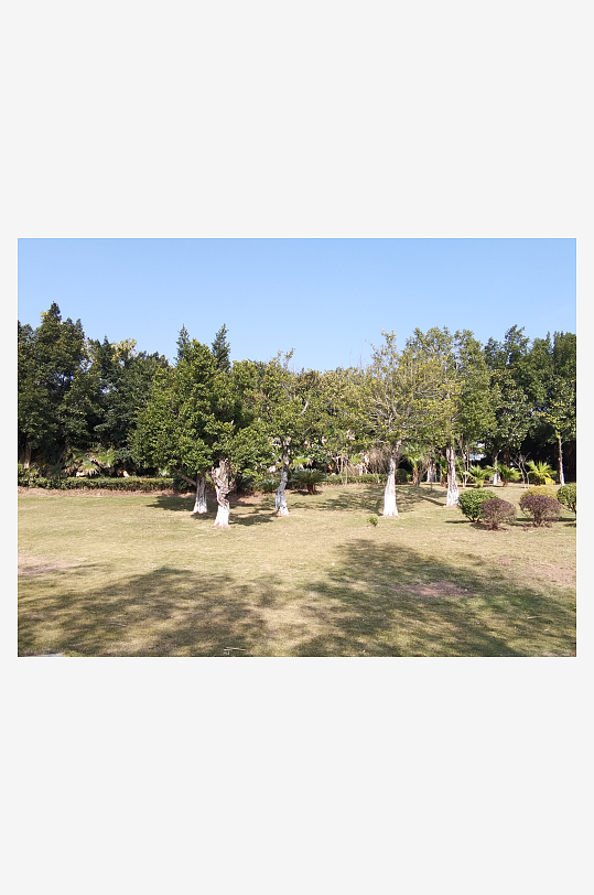 户外公园自然风光-众图网