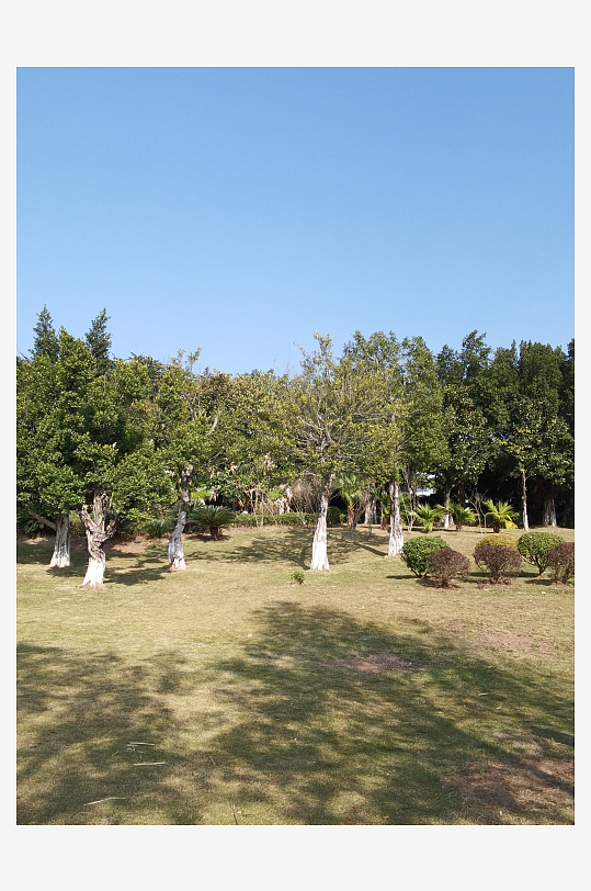 户外公园自然风光-众图网