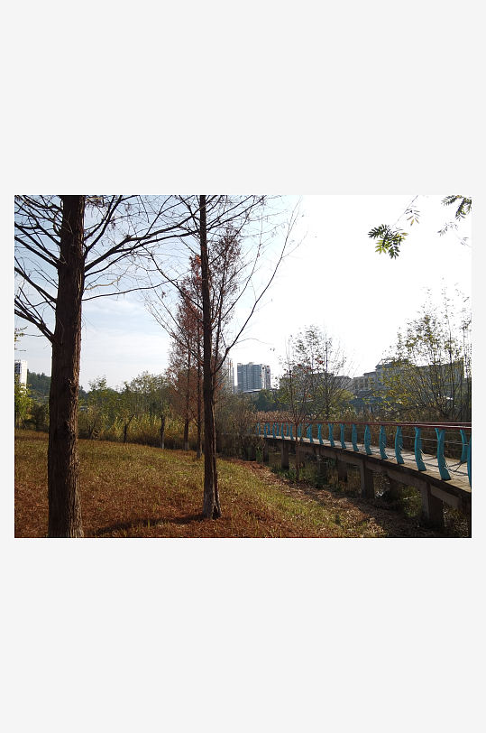 户外公园自然风光-众图网