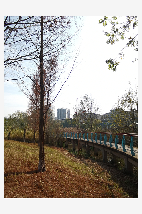 户外公园自然风光-众图网