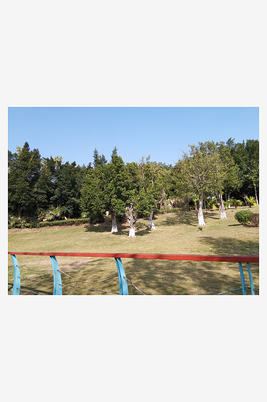 户外公园自然风光-众图网