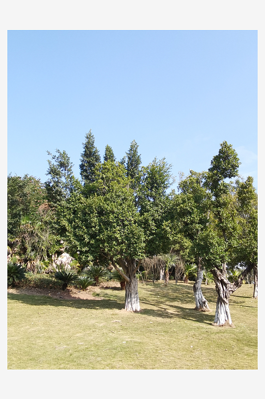 城市户外休闲公园-众图网