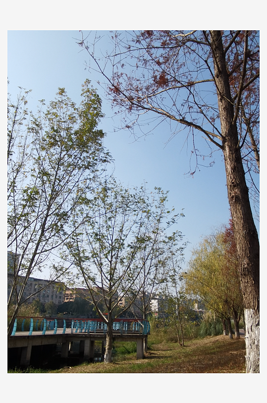 城市户外休闲公园-众图网