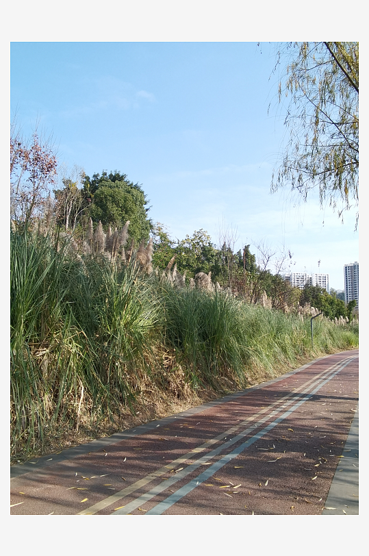 城市户外休闲场所-众图网