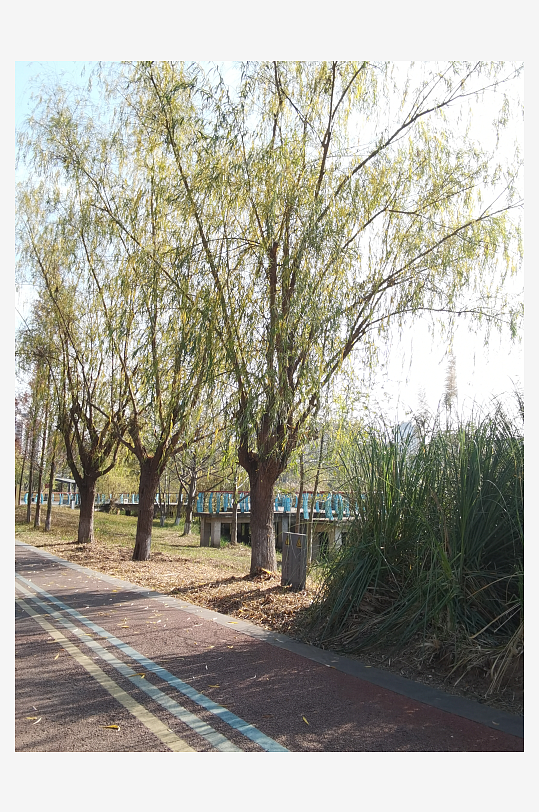 城市户外休闲场所-众图网