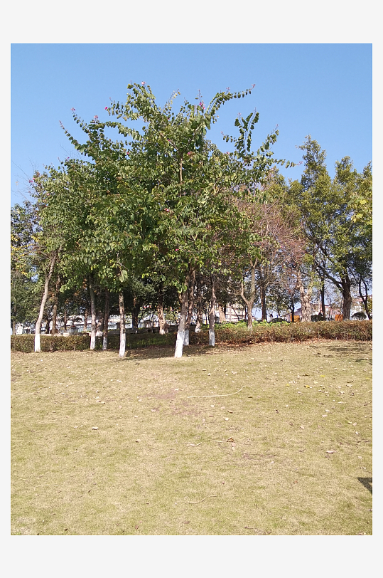 户外公园休闲场所-众图网