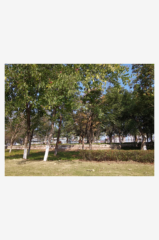 户外公园休闲场所-众图网