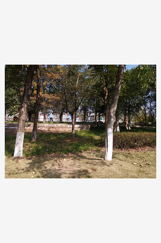 城市公园休闲场所-众图网