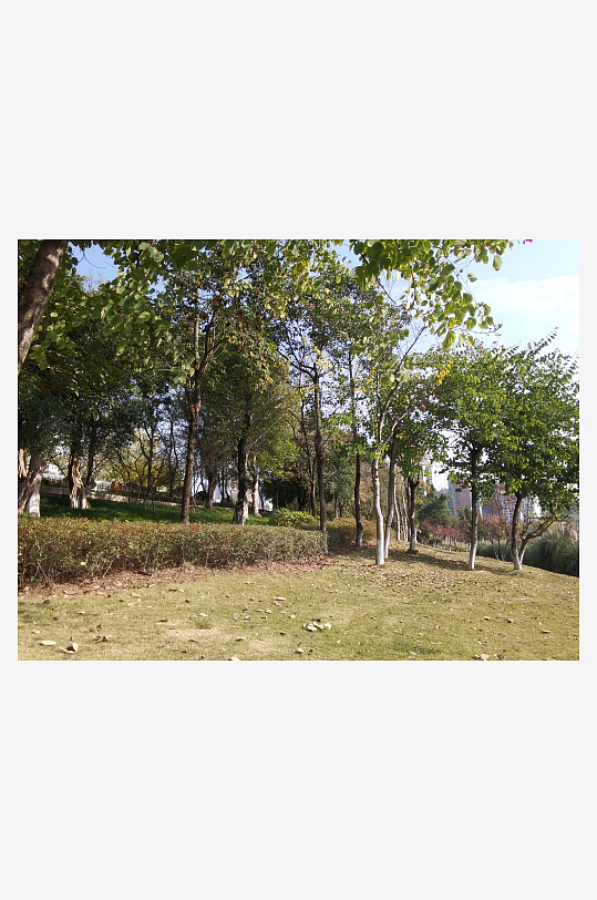 城市公园休闲场所-众图网