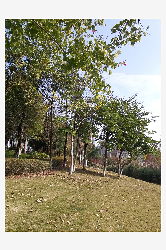 城市公园休闲场所-众图网