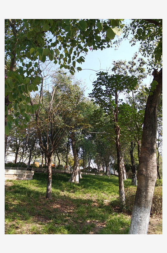 城市公园休闲场所-众图网