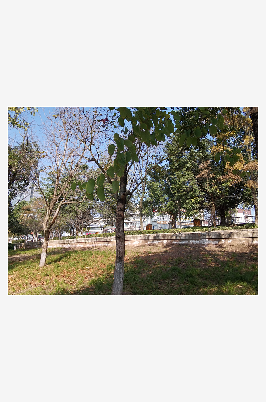 城市公园休闲场所-众图网