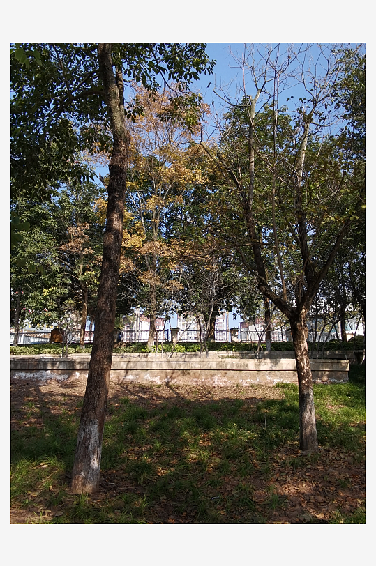 城市公园休闲场所-众图网