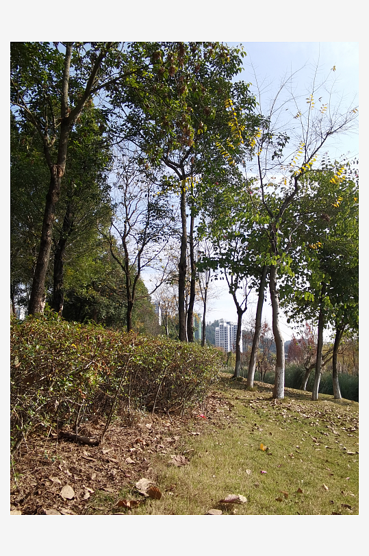 城市公园休闲场所-众图网