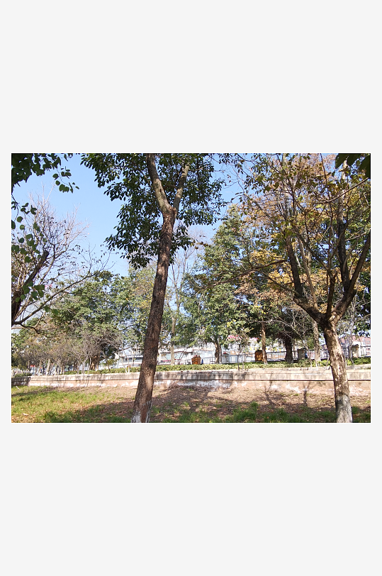 城市公园休闲场所-众图网