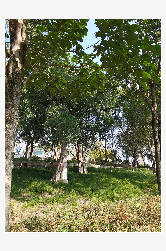 城市公园休闲场所-众图网