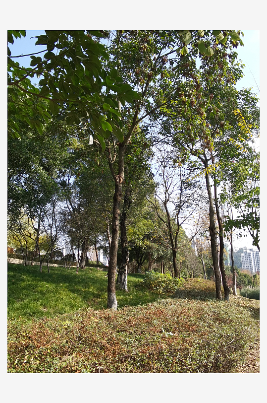 城市公园休闲环境-众图网