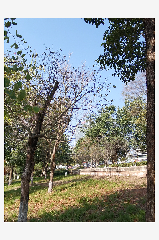 城市公园休闲环境-众图网