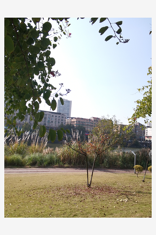 城市公园休闲环境-众图网