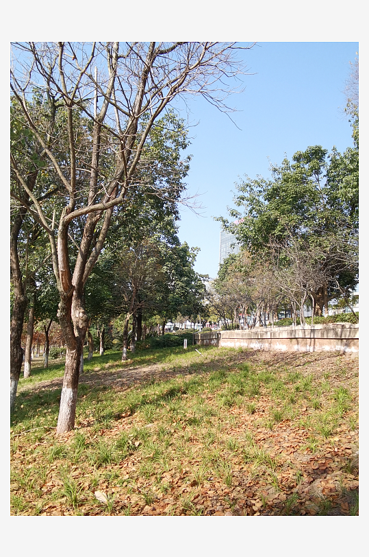 城市公园休闲环境-众图网