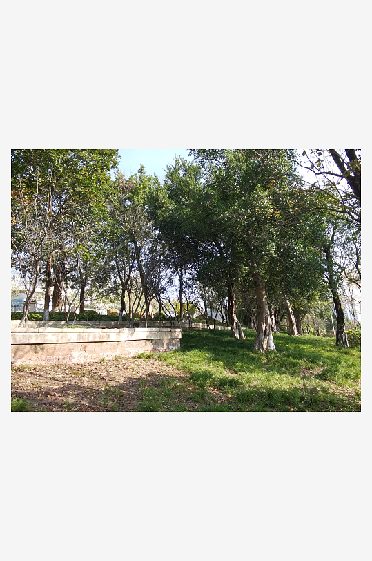 城市公园休闲环境-众图网