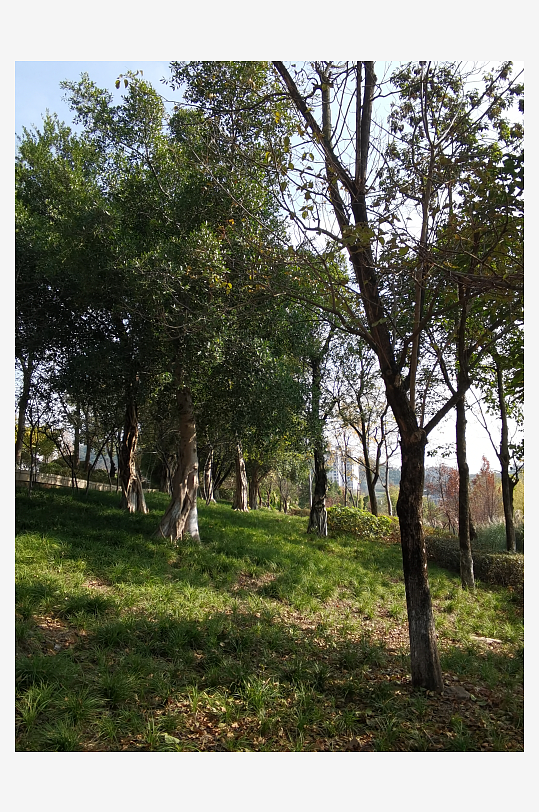 城市公园休闲环境-众图网