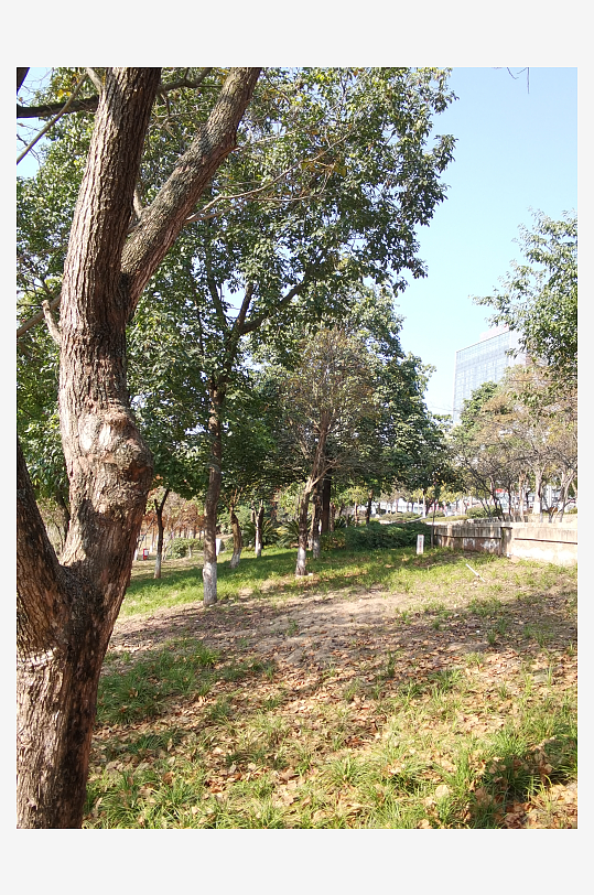 城市公园休闲环境-众图网