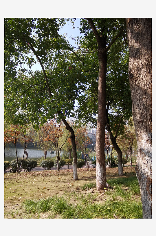 城市户外休闲环境-众图网