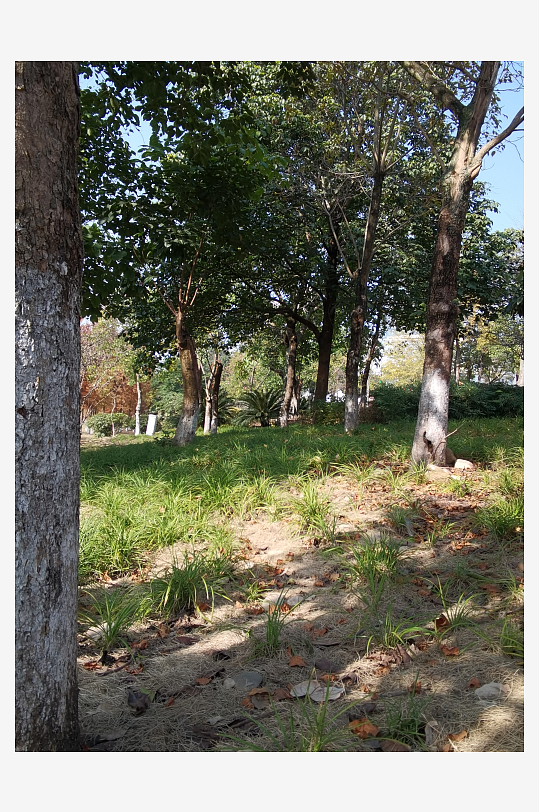 城市户外休闲场所-众图网