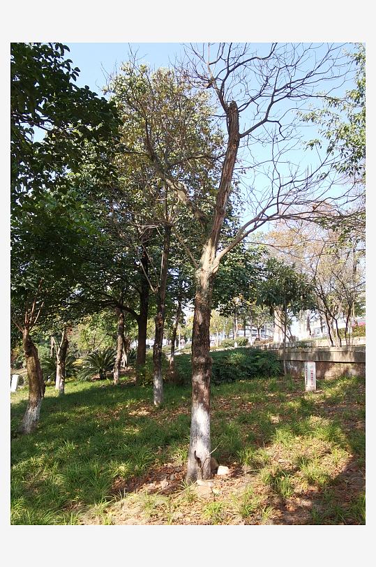 城市户外休闲场所-众图网